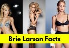 Brie Larson : Age, Height, Boyfriend, Net Worth, Movies and TV Shows