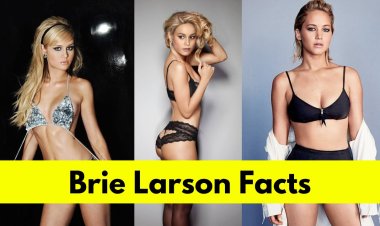 Brie Larson : Age, Height, Boyfriend, Net Worth, Movies and TV Shows