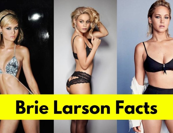 Brie Larson : Age, Height, Boyfriend, Net Worth, Movies and TV Shows