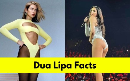Get to Know Dua Lipa: Age, Height, Net Worth, Boyfriend and Top Songs