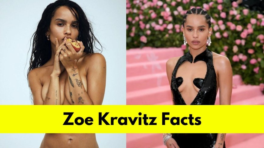 Zoe Kravitz: Bio, Age, Height, Boyfriend, Net Worth, Movies, and TV Shows