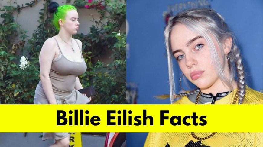 Billie Eilish: Age, Height, Boyfriend, Net Worth, Songs and Movies