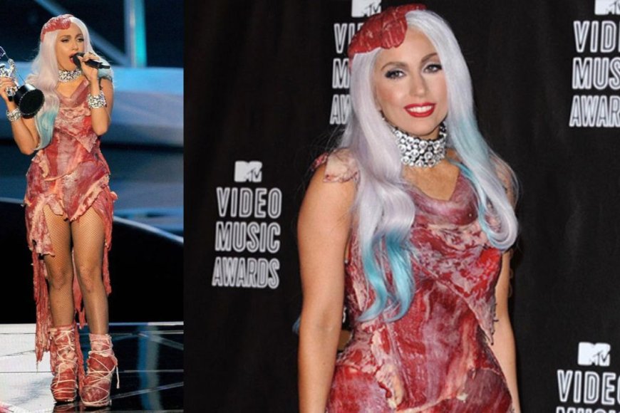 Meat Dress (2010 MTV Video Music Awards)