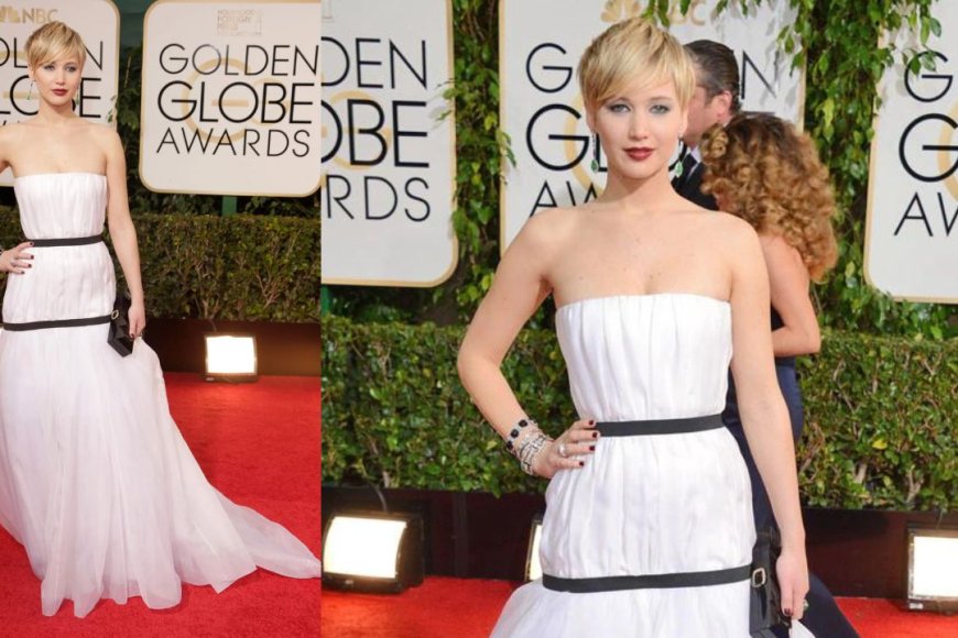 Christian Dior Gown at the 2014 Golden Globes