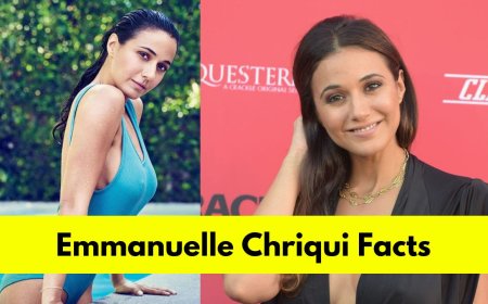 Emmanuelle Chriqui : Bio, Age, Height, Boyfriend, Net Worth, Movies, and TV Shows