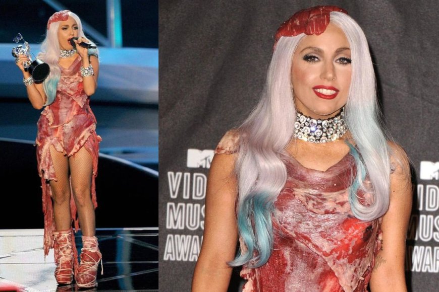 Meat Dress (2010 MTV Video Music Awards)