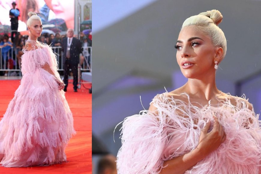 Pink Feathered Gown (2020 Academy Awards)