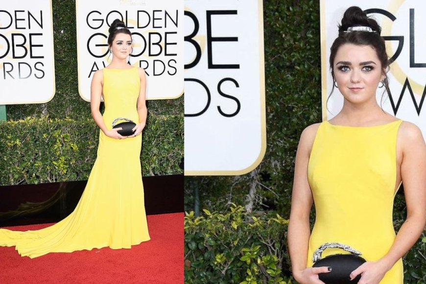 2019 Golden Globe Awards