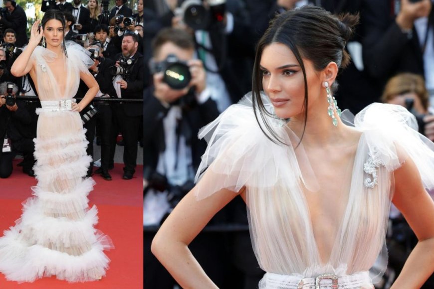 The 2018 Cannes Film Festival Sheer Schiaparelli Dress