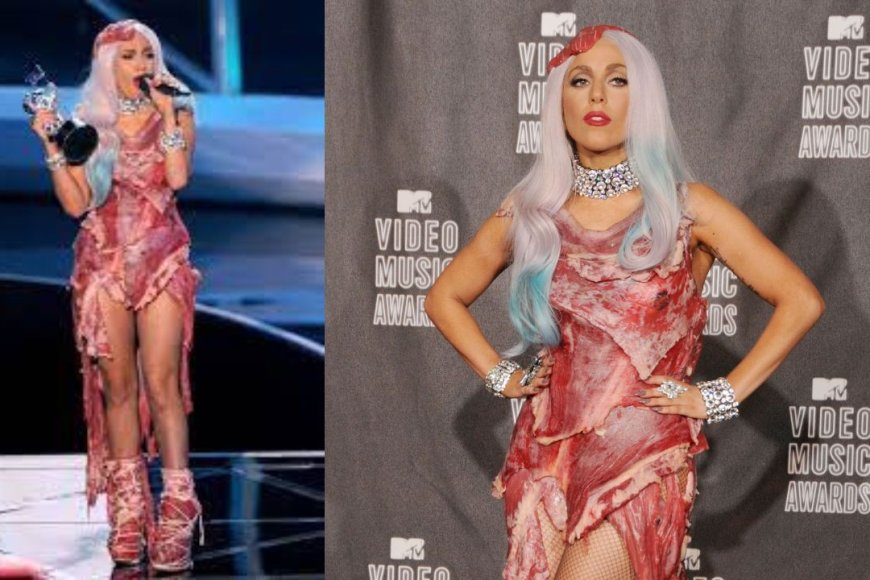 The 2010 MTV Video Music Awards Meat Dress