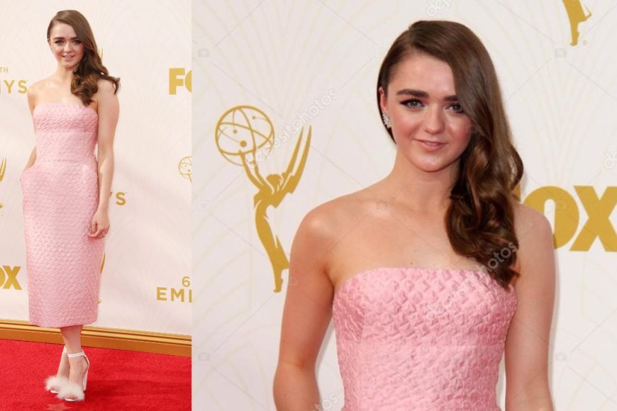 2018 Emmy Awards Pink Tulle Dress