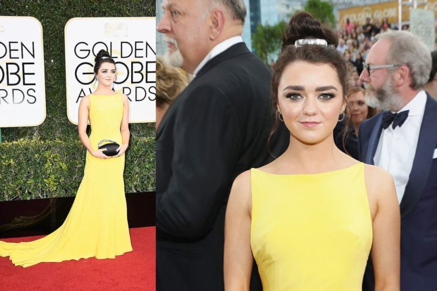 2017 Golden Globe Awards Sheer Overlay Dress