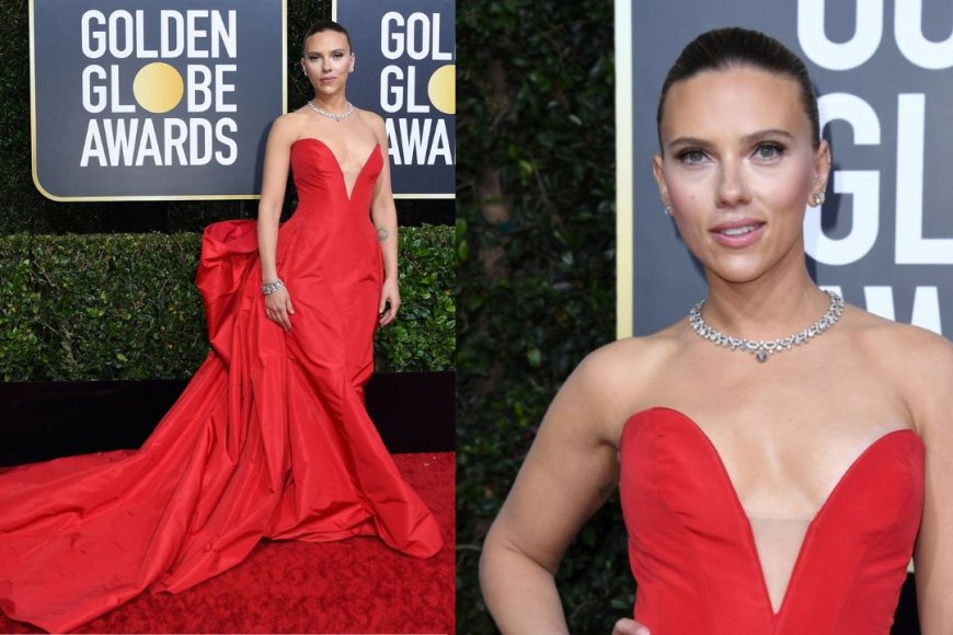 2019 Golden Globes Vera Wang Dress