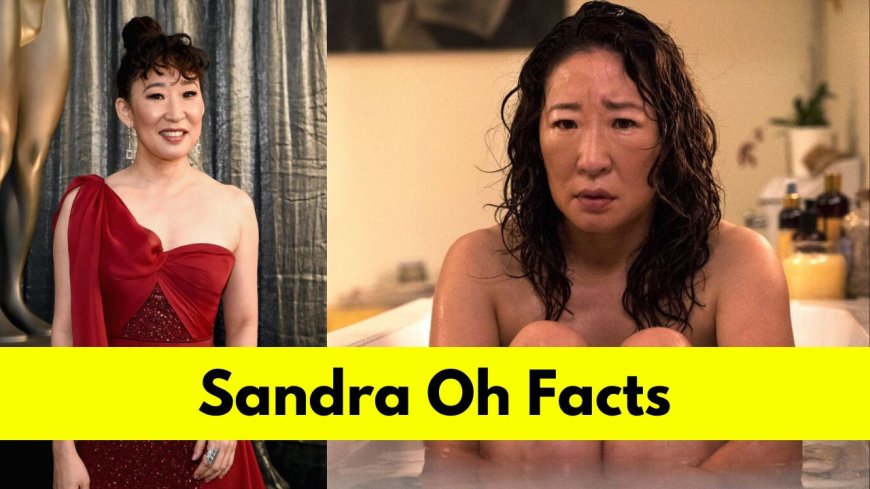 Sandra Oh : Bio, Age, Height, Husband, Net Worth, Movies, and TV Shows