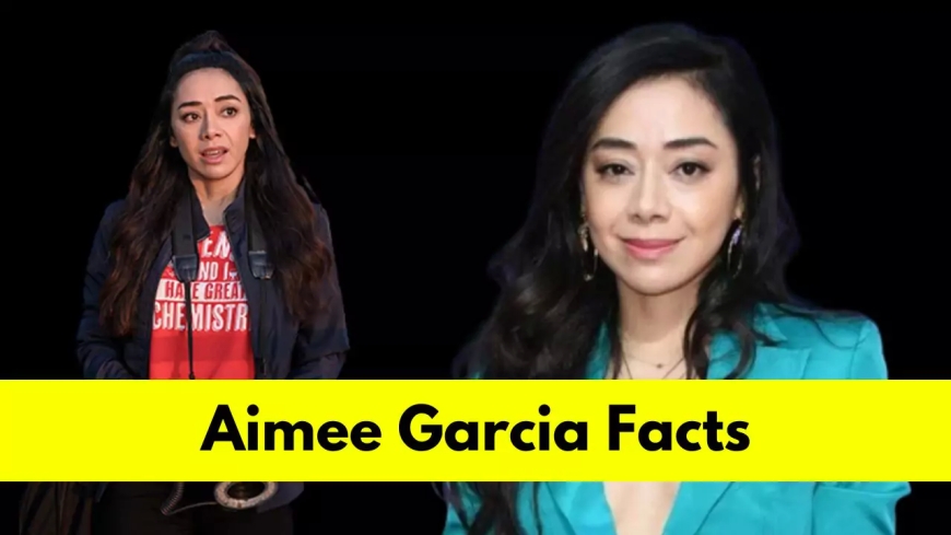 Aimee Garcia: Bio, Age, Height, Boyfriend, Net Worth, Movies and TV Shows