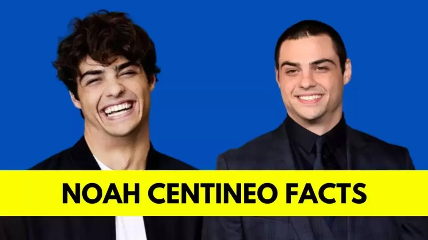 Noah Centineo : Bio, Age, Height, Girlfriend, Net Worth, Movies, and TV Shows