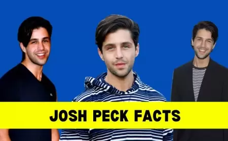Josh Peck: Bio, Age, Height, Wife, Net Worth, Movies and TV Shows