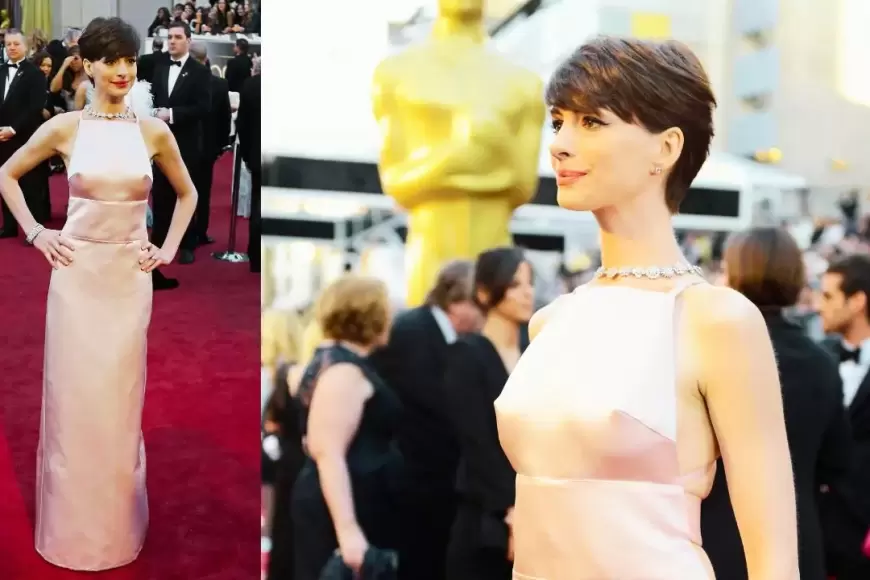 Pale Pink Dress (2013 Oscars)