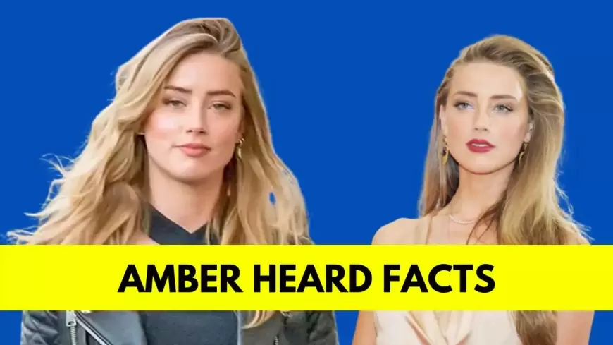 Amber Heard: Bio, Age, Height, Boyfriend, Net Worth, Movies and TV Shows