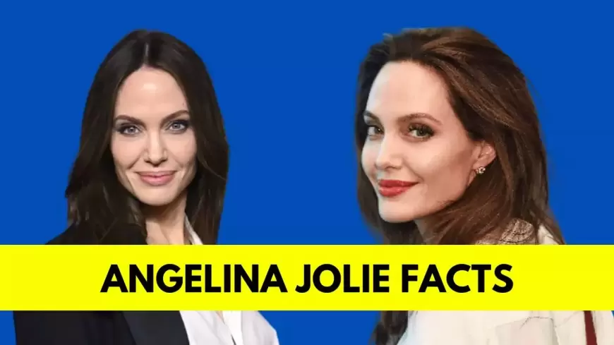 Angelina Jolie: Bio, Age, Height, Boyfriend, Net Worth, Movies, and TV Shows