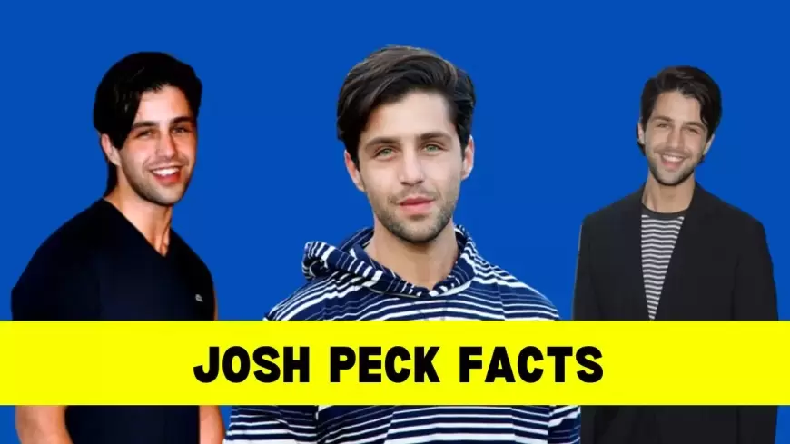 Josh Peck: Bio, Age, Height, Wife, Net Worth, Movies and TV Shows